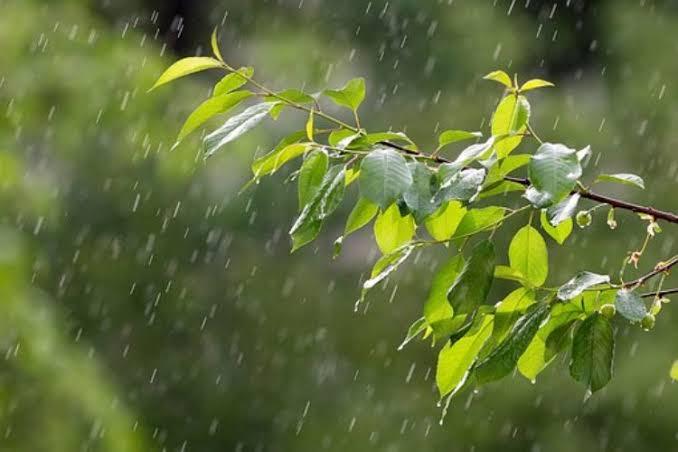 আরও পাঁচ দিন বৃষ্টি-বজ্রবৃষ্টির পূর্বাভাস